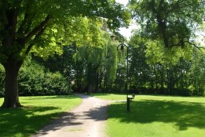 Image of alexander park where walk and talk takes place