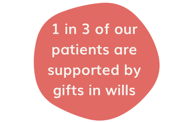 Jane for legacy webpage